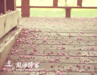 �յ����棬ͻȻ�о��ǳ��䣬�Ժ�Ҫ��ҹ��...