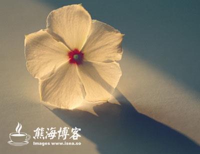 ���Լ�˵��